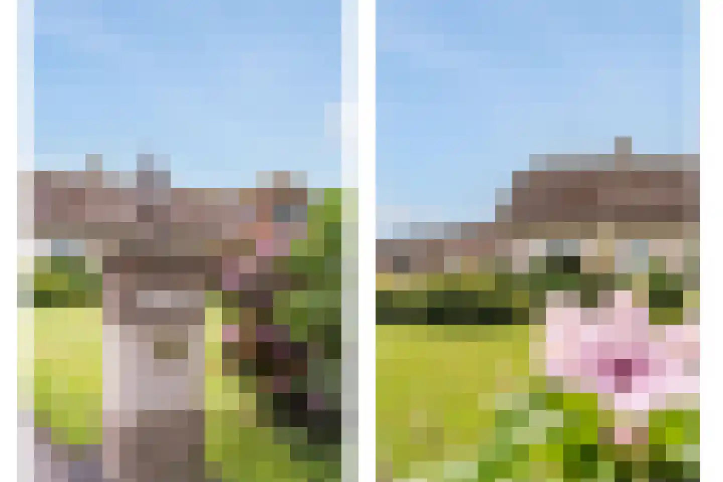 Kringsloot-west 16 Dalfsen thumbnail 5