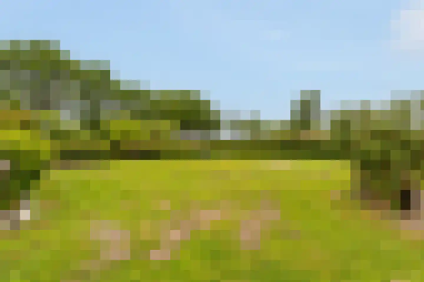 Kringsloot-west 16 Dalfsen thumbnail 50