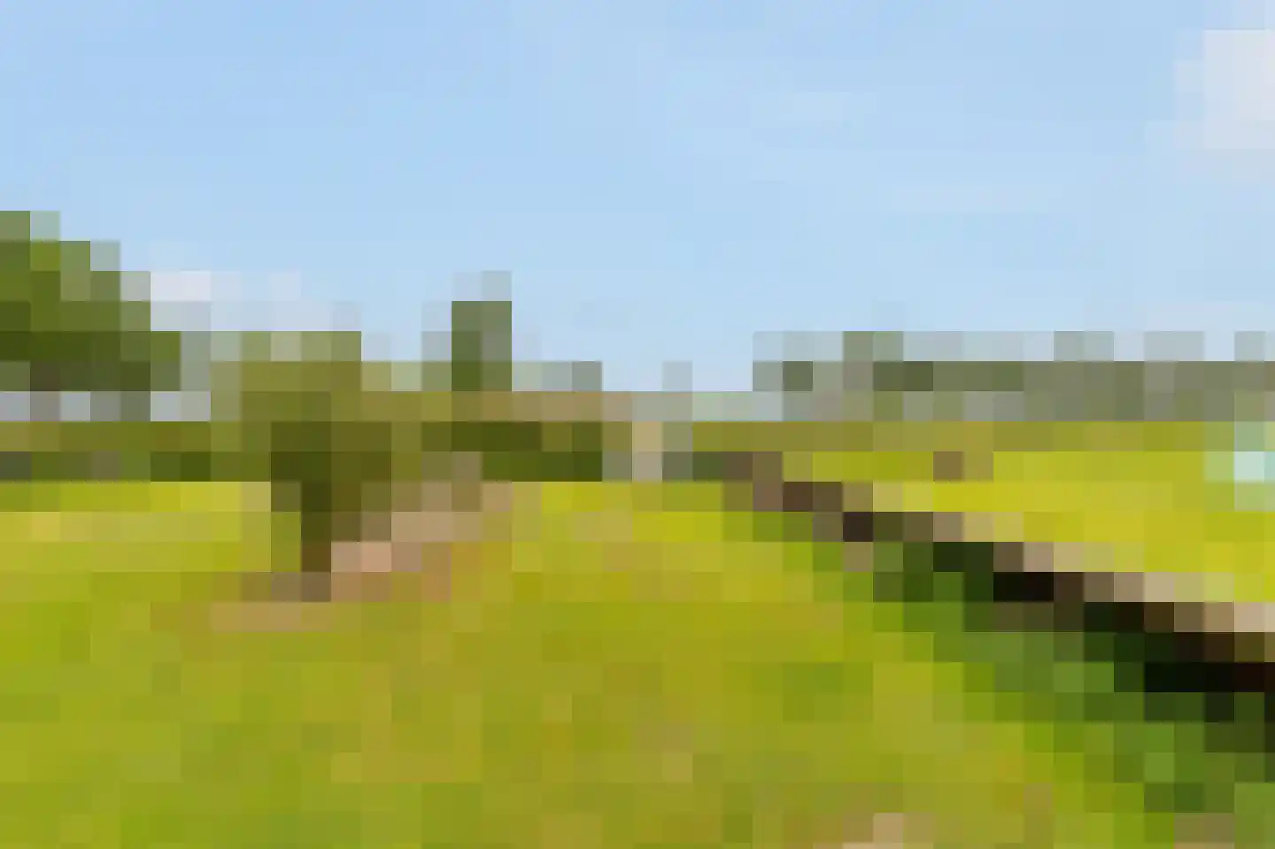 Kringsloot-west 16 Dalfsen thumbnail 51