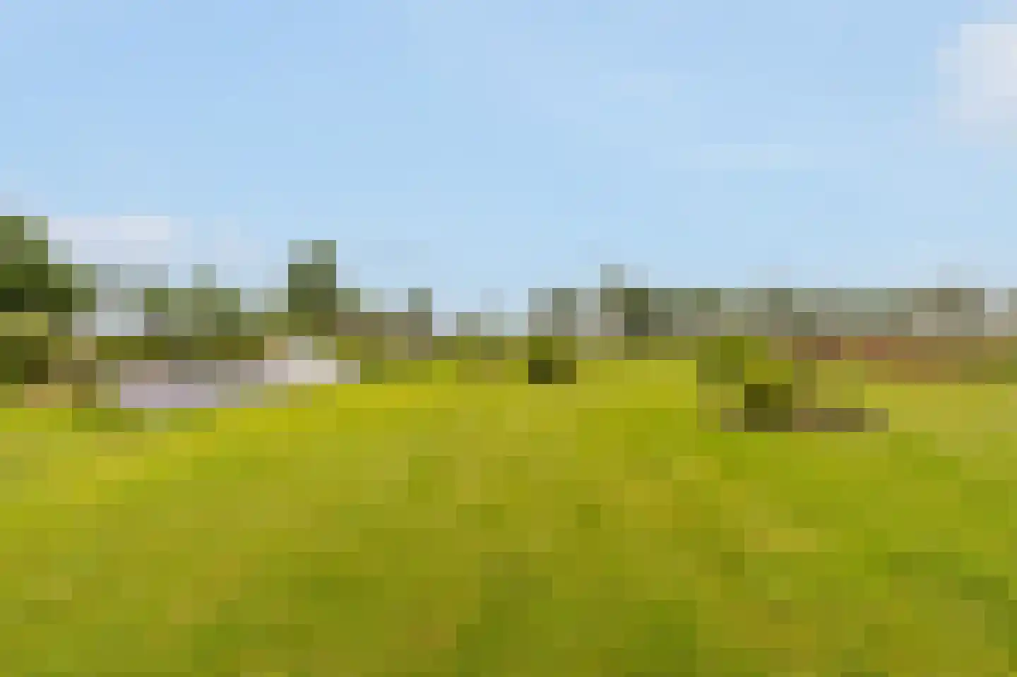 Kringsloot-west 16 Dalfsen thumbnail 52