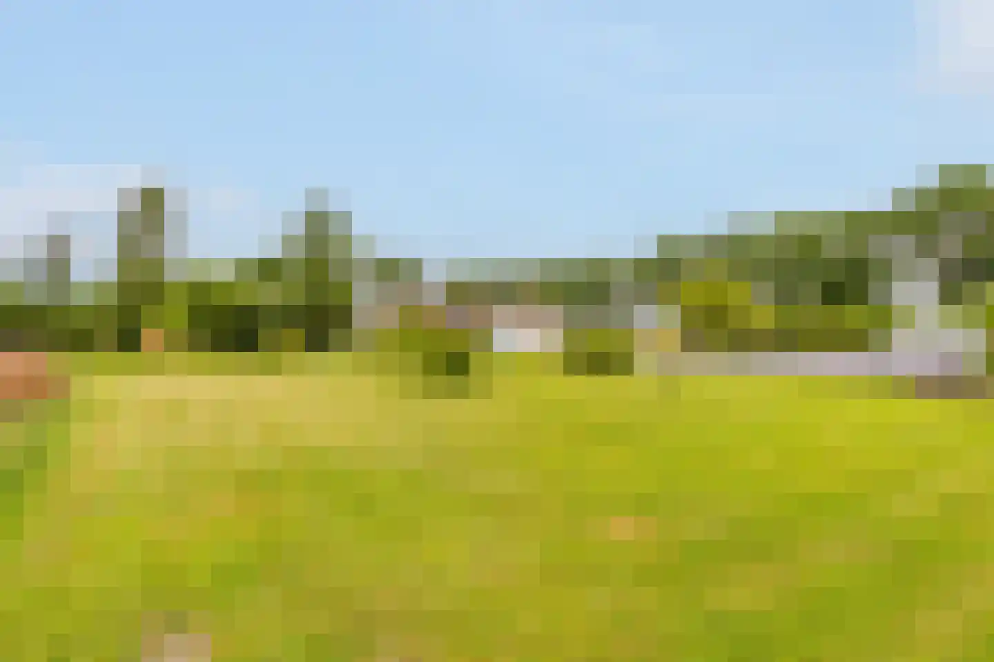 Kringsloot-west 16 Dalfsen thumbnail 53