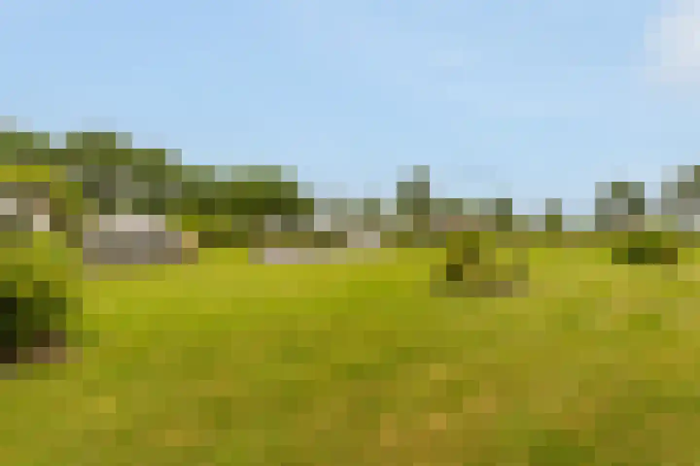 Kringsloot-west 16 Dalfsen thumbnail 56