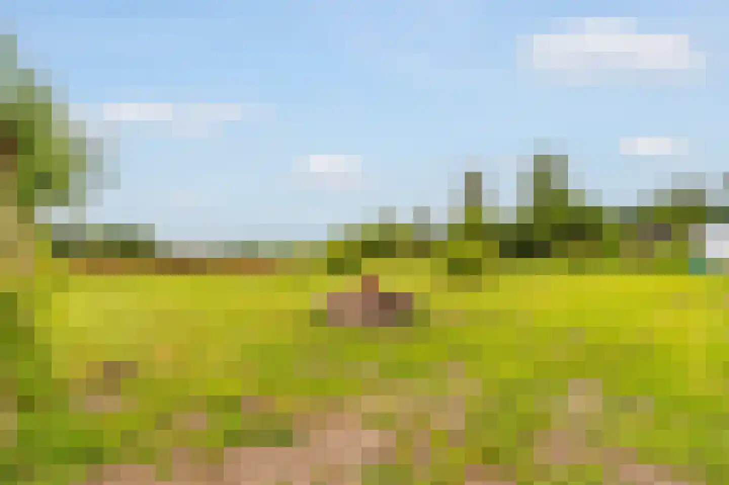 Kringsloot-west 16 Dalfsen thumbnail 57