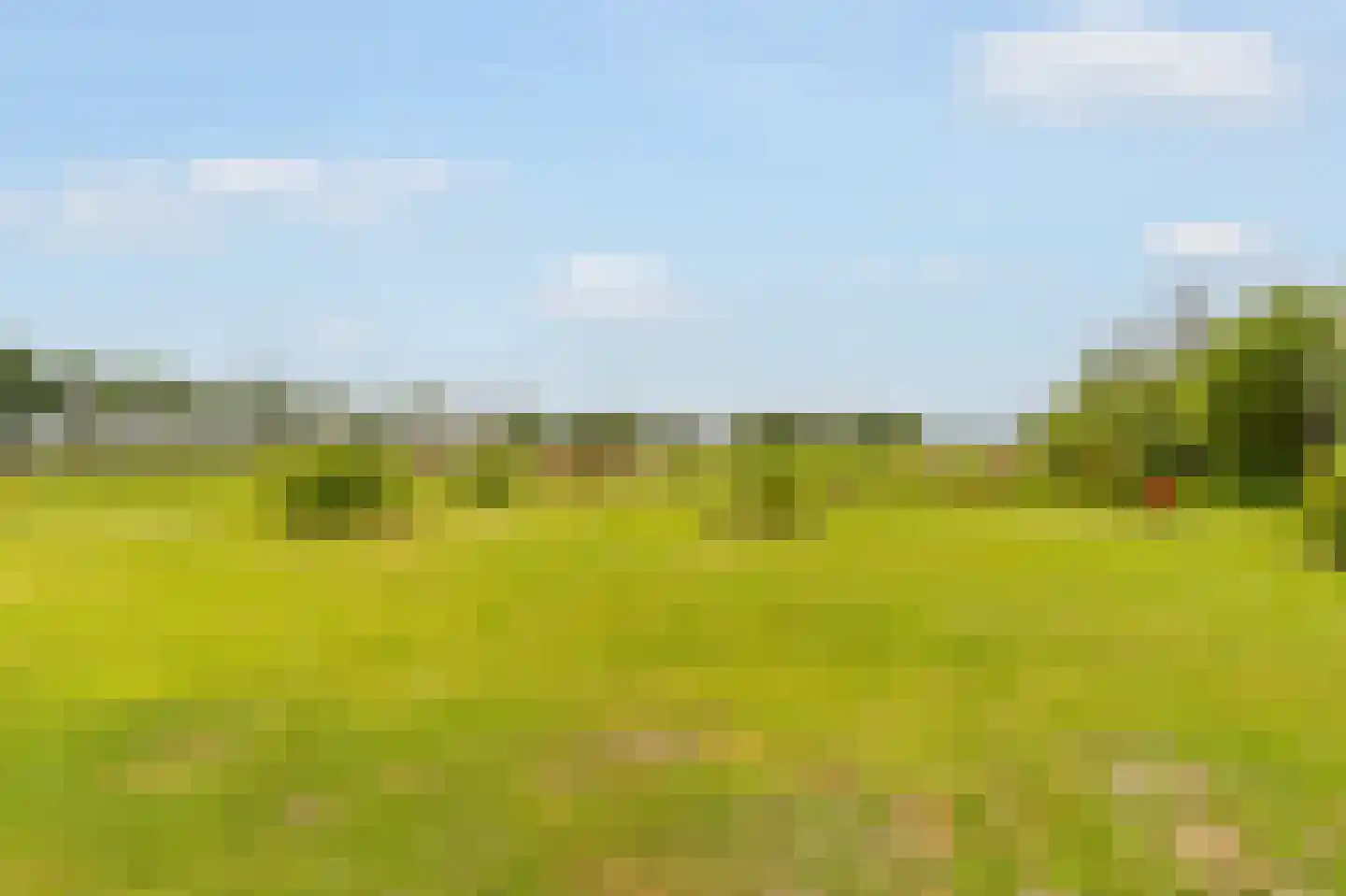 Kringsloot-west 16 Dalfsen thumbnail 58