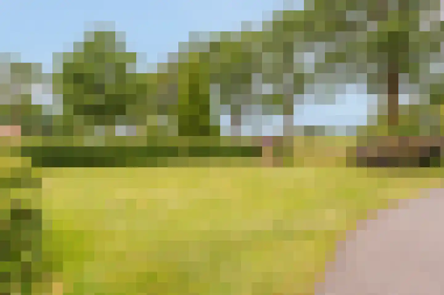 Kringsloot-west 16 Dalfsen thumbnail 62