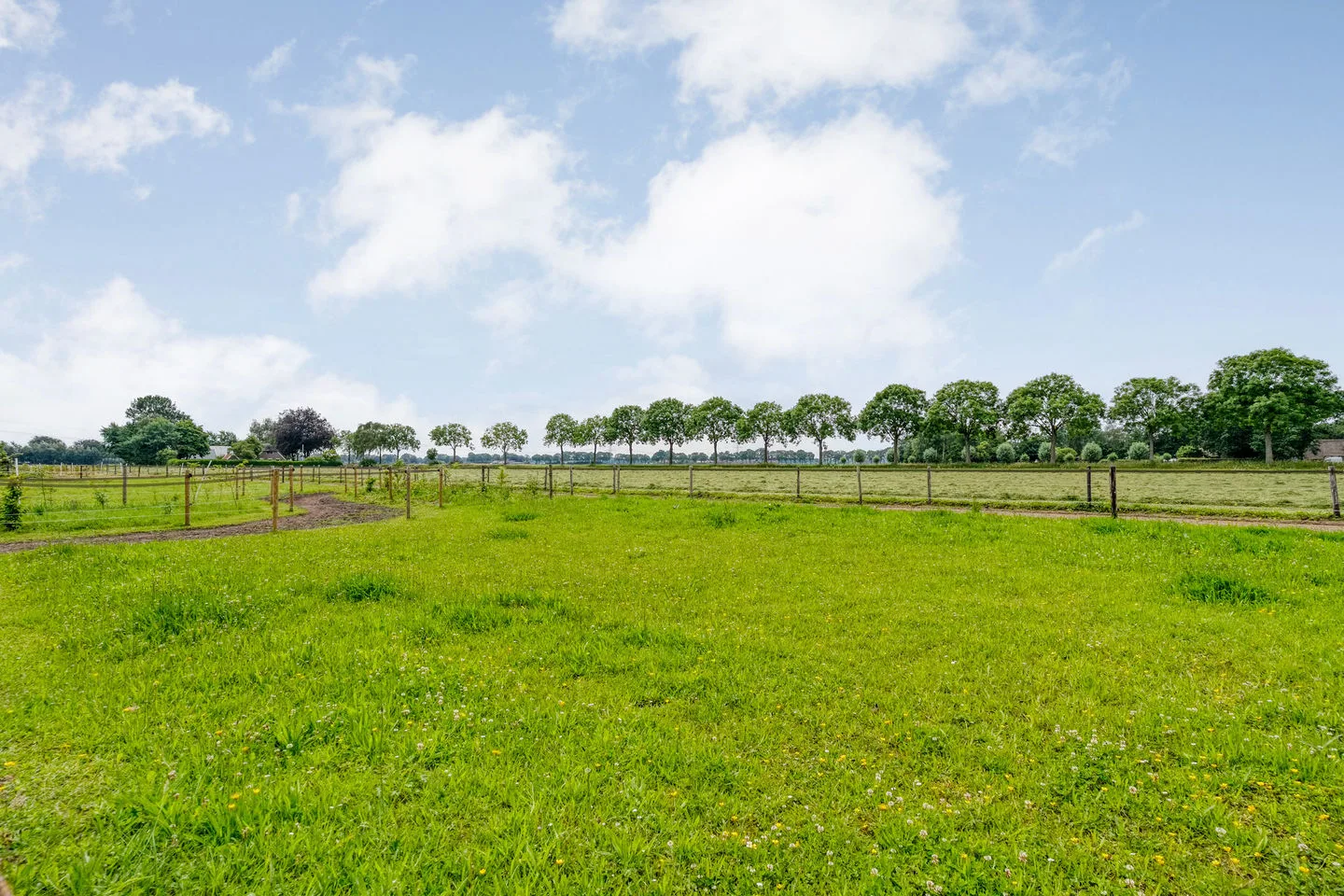 Kringsloot-west 8 Dalfsen thumbnail 85