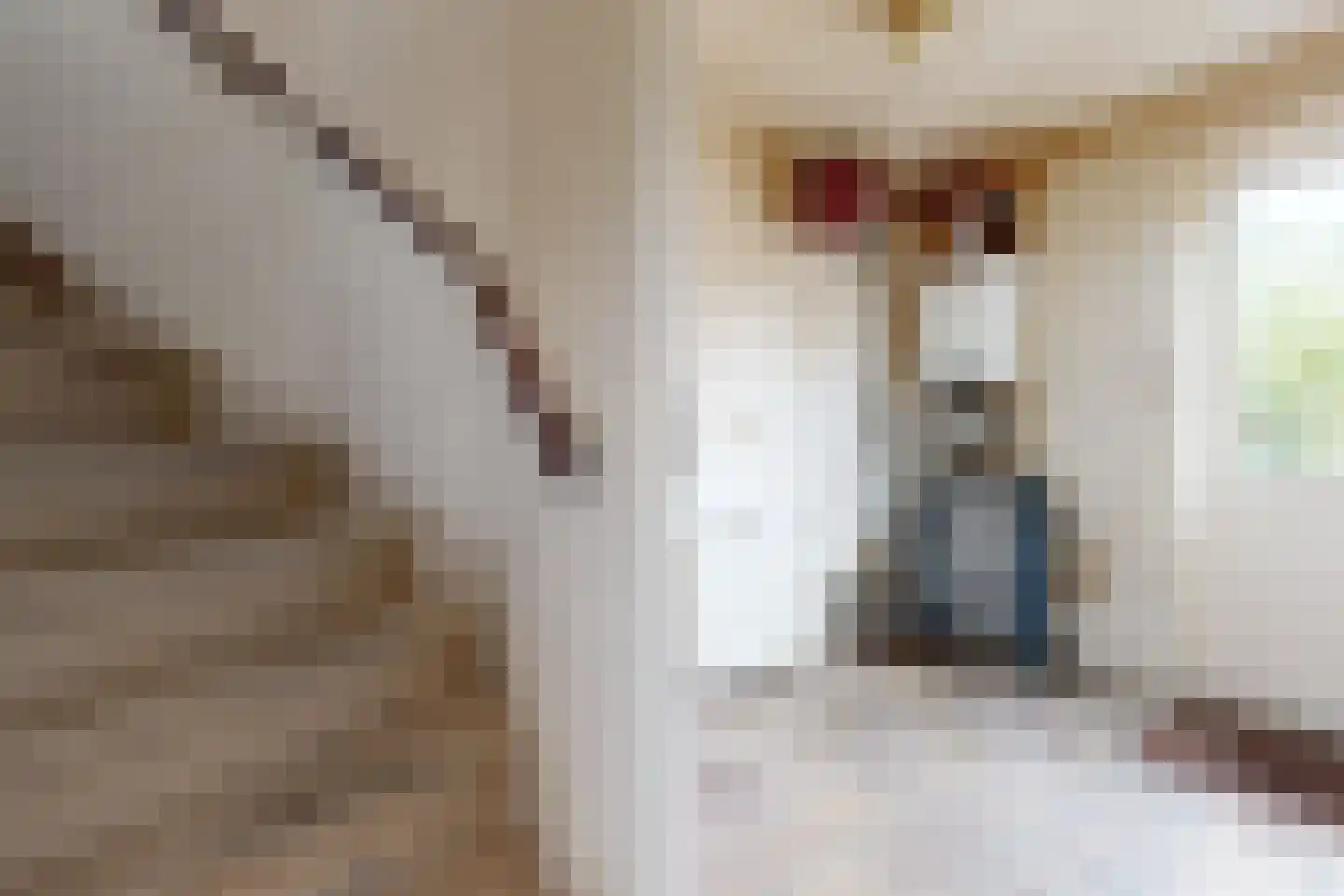 Kristallaan 22 Zevenbergen thumbnail 22