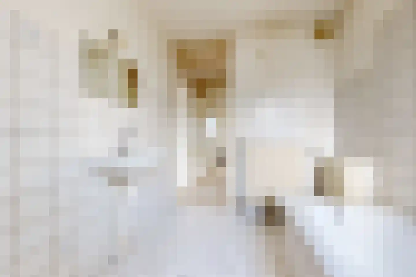 Kristallaan 22 Zevenbergen thumbnail 41