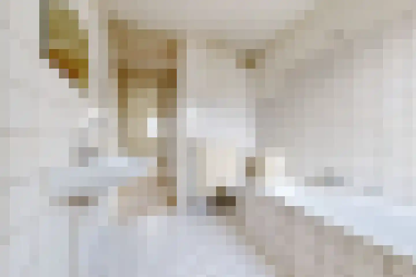 Kristallaan 22 Zevenbergen thumbnail 42