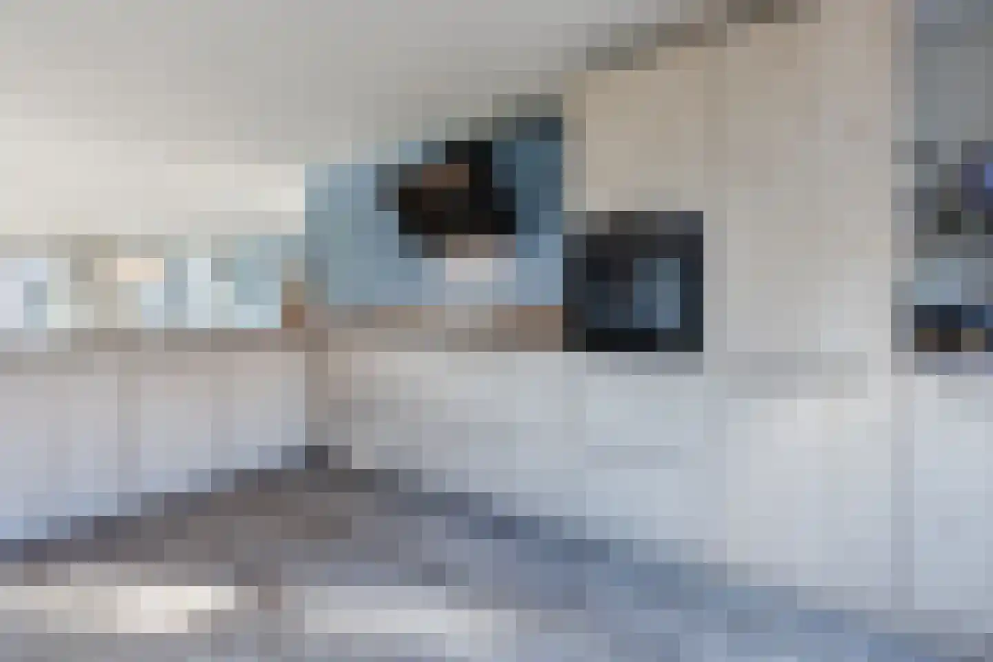 Kristallaan 3 Zevenbergen thumbnail 13