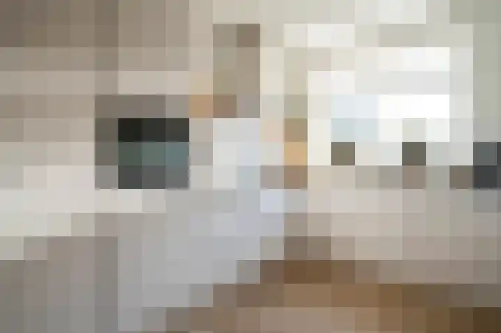 Kristallaan 6 Leerdam thumbnail 7