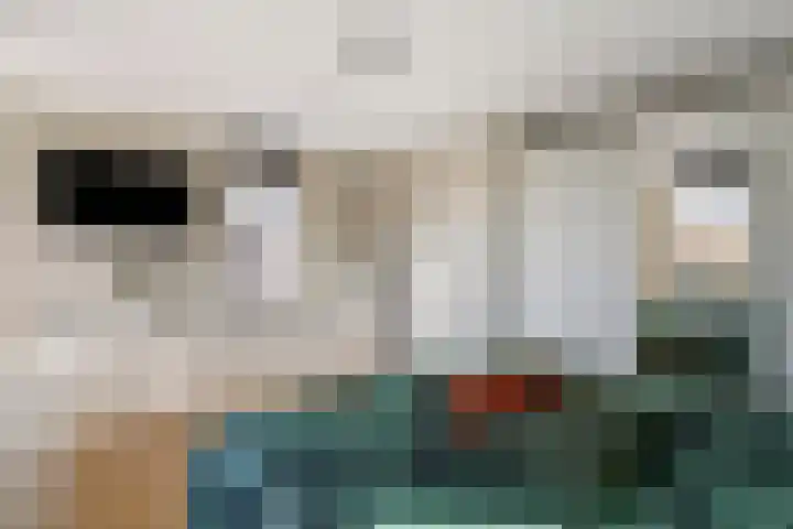 Kristallaan 73 Leerdam thumbnail 23