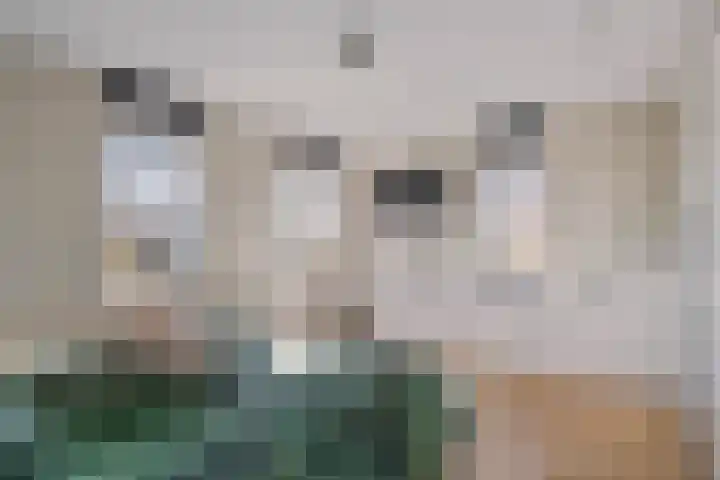 Kristallaan 73 Leerdam thumbnail 24