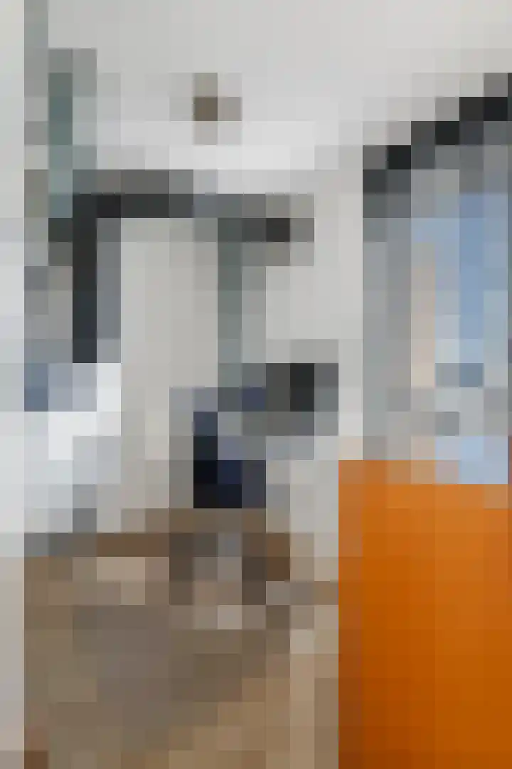 Kristallaan 73 Leerdam thumbnail 40