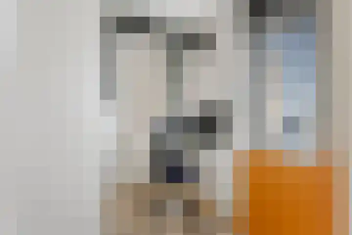 Kristallaan 73 Leerdam thumbnail 41
