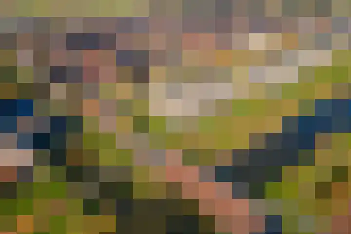 Kristallaan 73 Leerdam thumbnail 49