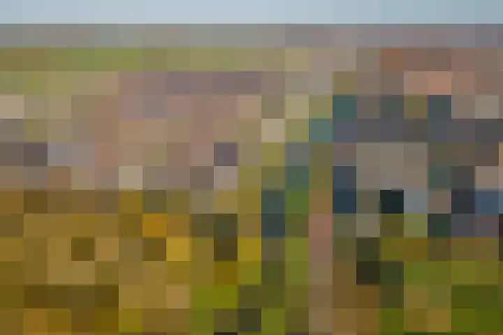 Kristallaan 73 Leerdam thumbnail 52