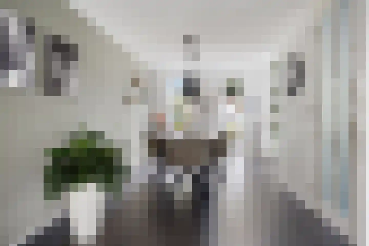 Kristalstoep 1 Assen thumbnail 14