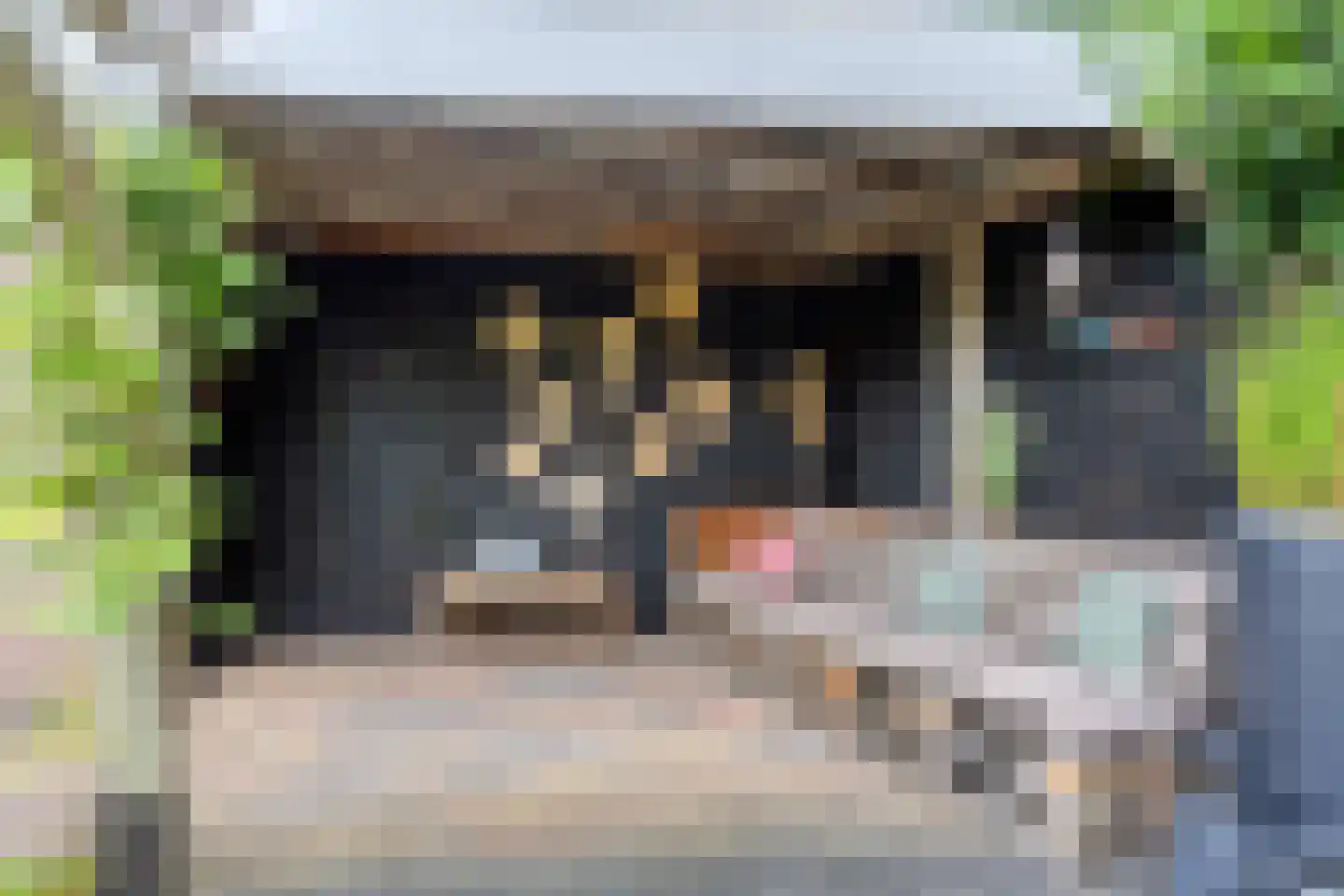 Kristalstoep 1 Assen thumbnail 41