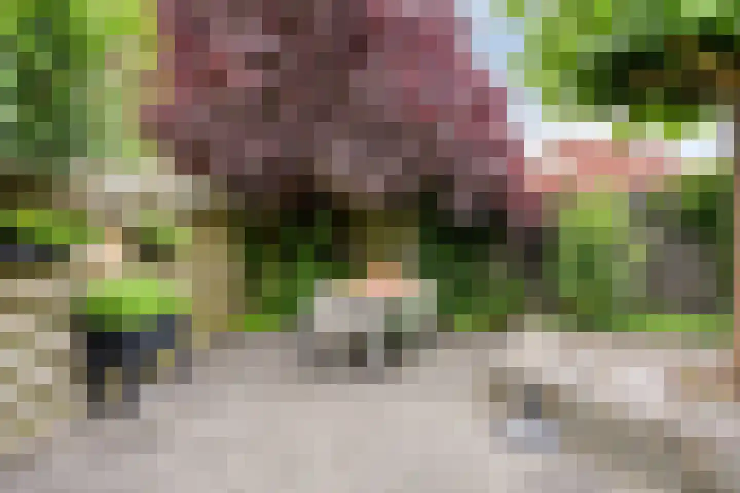Kristalstoep 1 Assen thumbnail 42