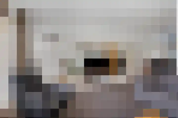 Kristalstoep 22 Assen thumbnail 10
