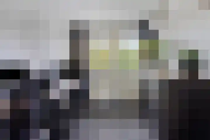 Kristalstoep 22 Assen thumbnail 29