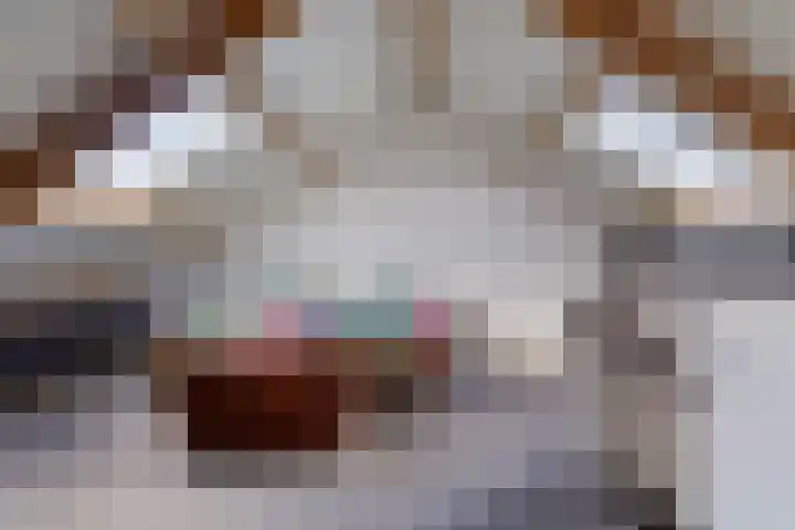 Kristalstoep 22 Assen thumbnail 31