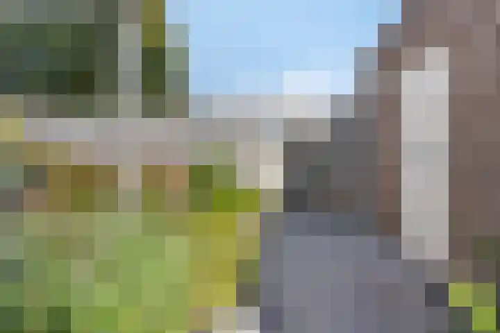 Kristalstoep 22 Assen thumbnail 38