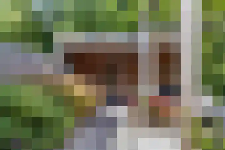 Kristalstoep 22 Assen thumbnail 39