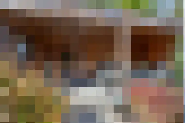 Kristalstoep 22 Assen thumbnail 40