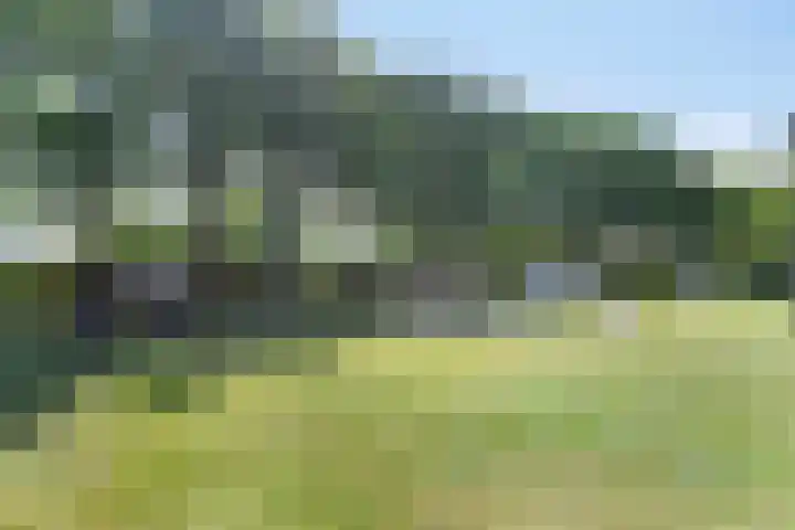 Kristalstoep 22 Assen thumbnail 47