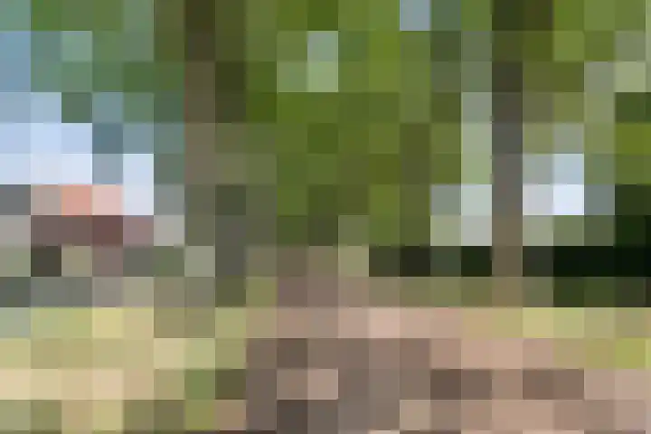 Kristalstoep 22 Assen thumbnail 48
