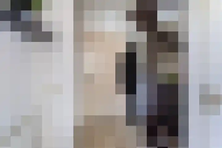 Kristalstoep 22 Assen thumbnail 7
