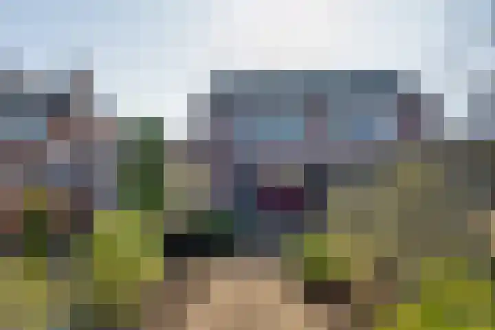 Kristalstoep 30 Assen thumbnail 33