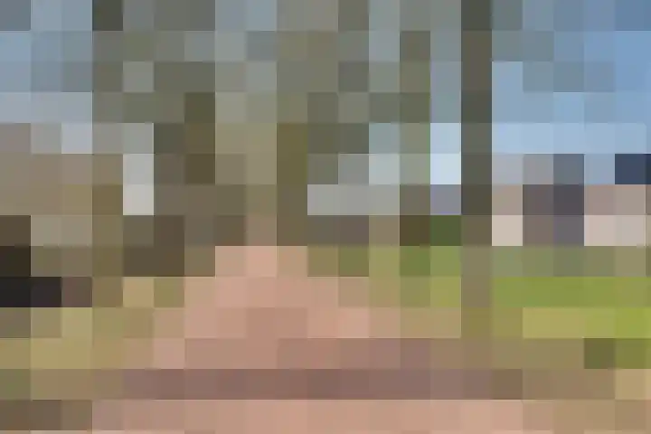 Kristalstoep 30 Assen thumbnail 36