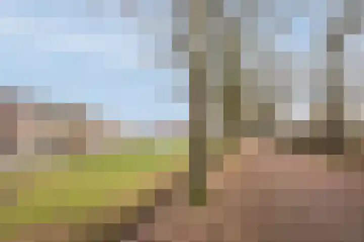 Kristalstoep 38 Assen thumbnail 43