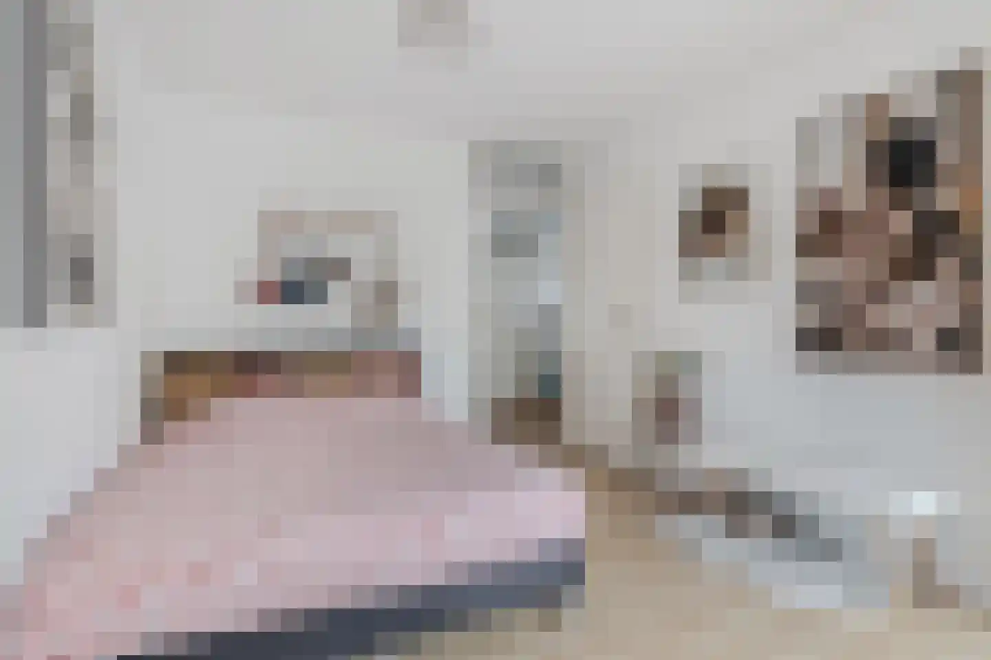 Kristalstoep 88 Assen thumbnail 30