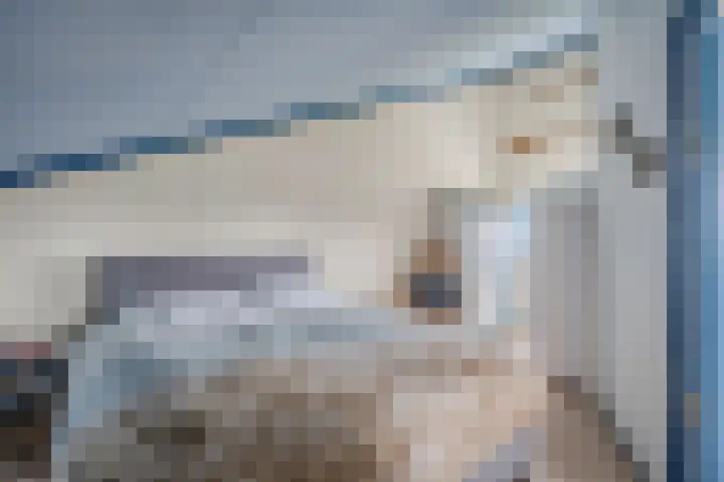 Kristalstoep 88 Assen thumbnail 39