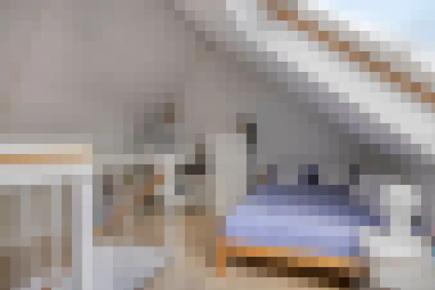 Kristalwater 116 Houten thumbnail 23