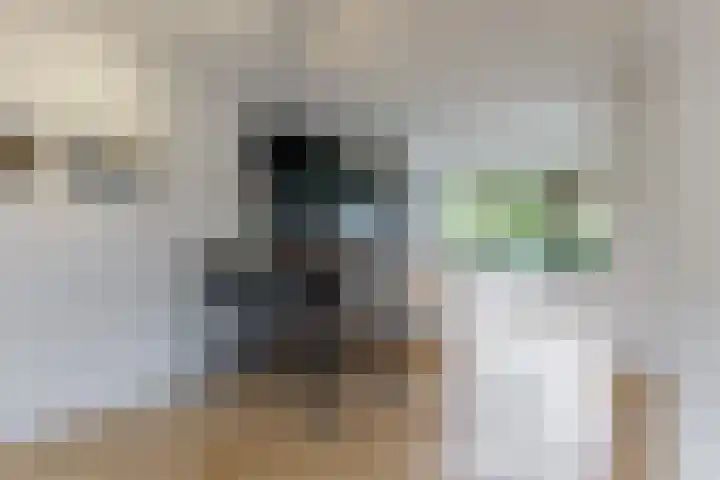 Kristalwater 42 Houten thumbnail 13