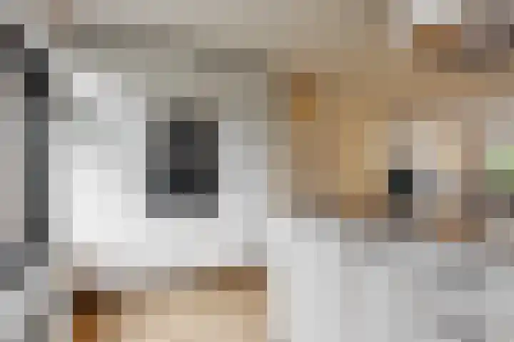 Kristalwater 42 Houten thumbnail 14
