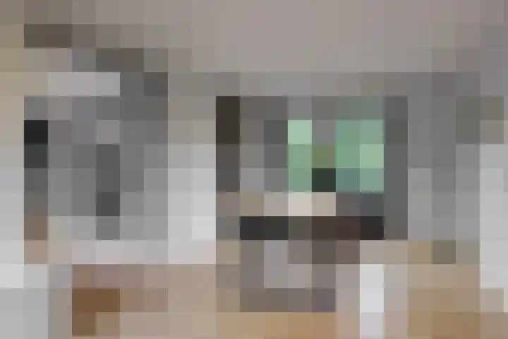 Kristalwater 42 Houten thumbnail 16