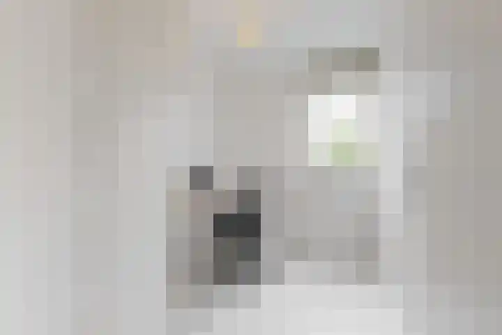 Kristalwater 42 Houten thumbnail 22