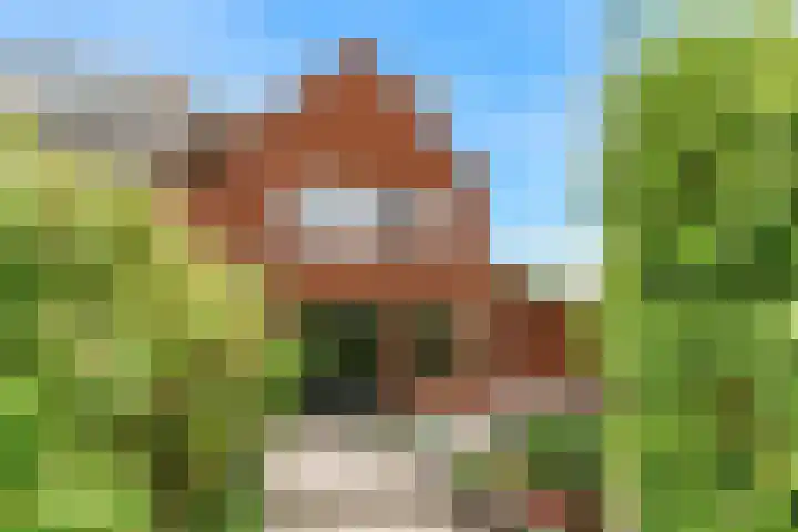 Kristalwater 42 Houten thumbnail 34