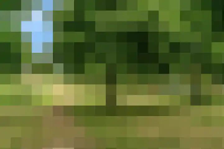 Kristalwater 42 Houten thumbnail 41