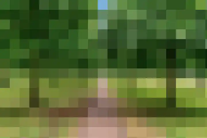 Kristalwater 42 Houten thumbnail 42