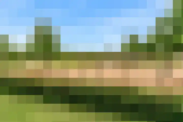 Kristalwater 42 Houten thumbnail 43