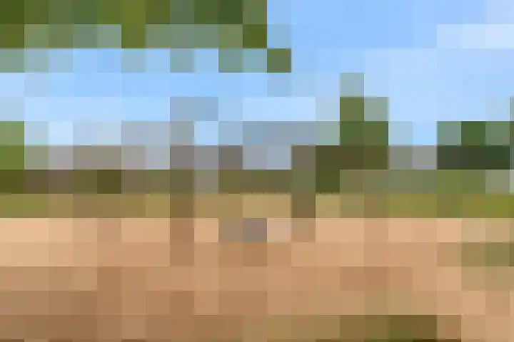 Kristalwater 42 Houten thumbnail 44