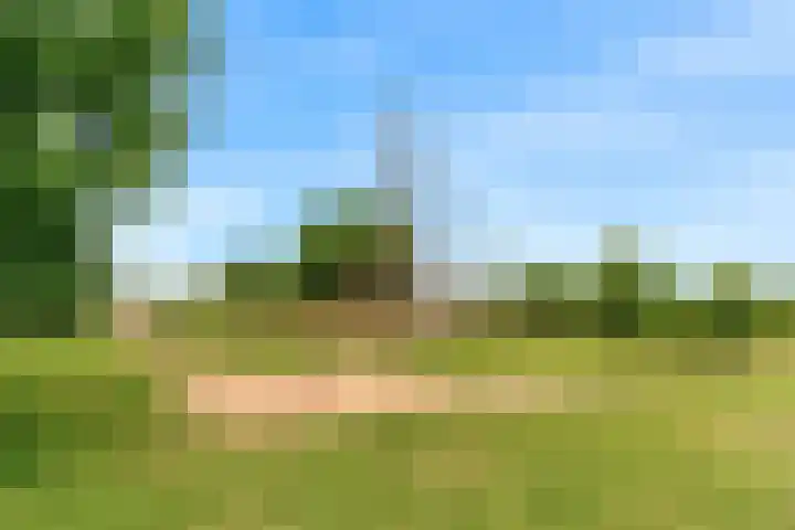 Kristalwater 42 Houten thumbnail 45