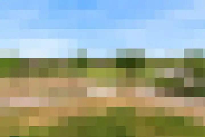 Kristalwater 42 Houten thumbnail 46